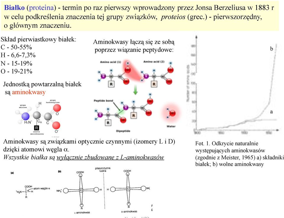 Sk#ad pierwiastkowy bia#ek: C - 50-55% H - 6,6-7,3% N - 15-19% O - 19-21% Jednostk& powtarzaln& bia#ek s& aminokwasy Aminokwasy #&cz& si' ze sob& poprzez