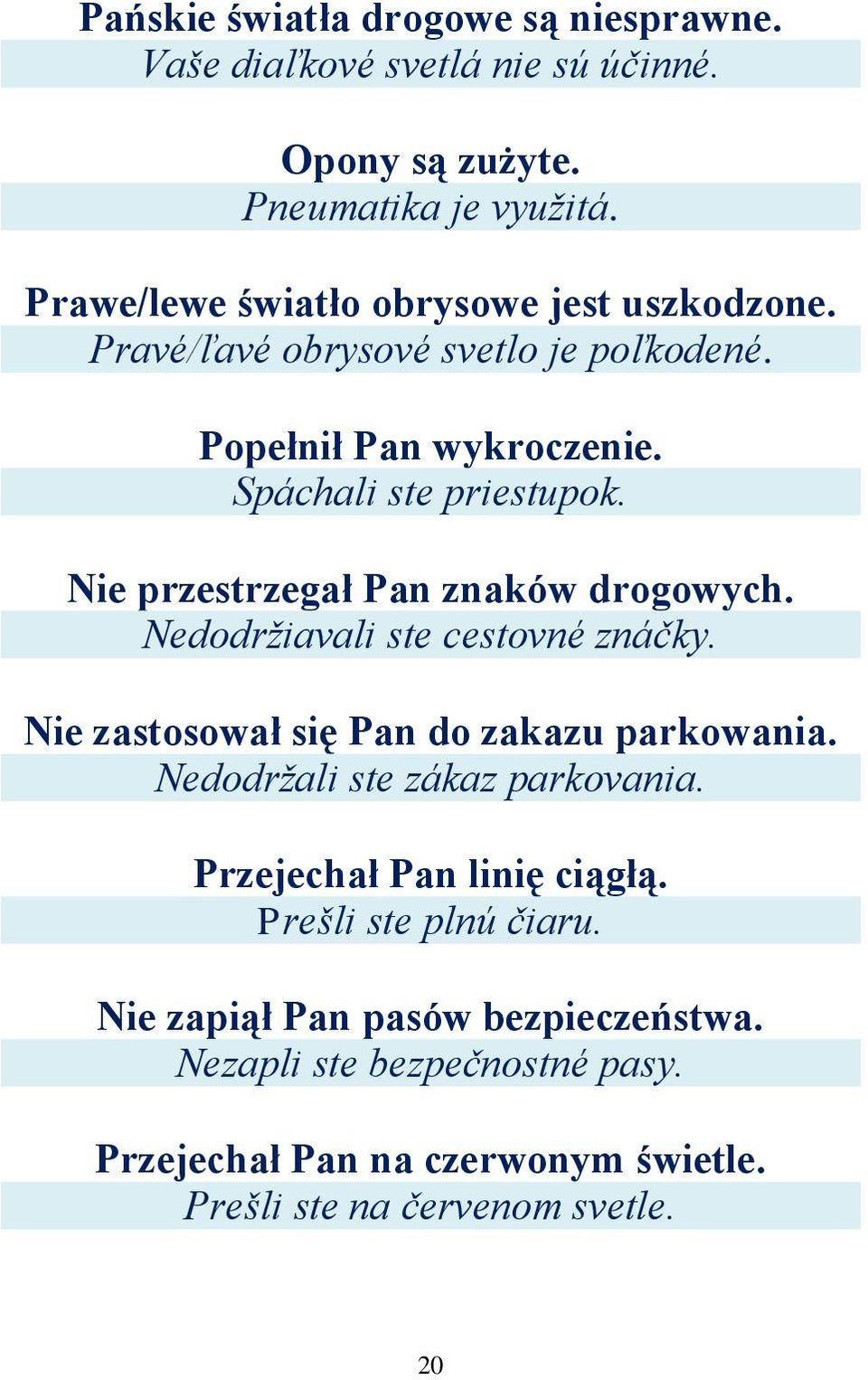 Nie przestrzegał Pan znaków drogowych. Nedodrţiavali ste cestovné znáčky. Nie zastosował się Pan do zakazu parkowania.