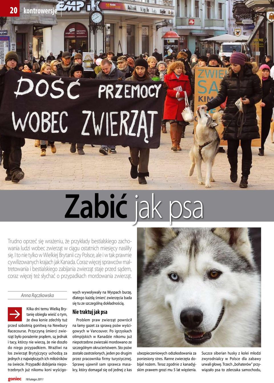 Coraz więcej sprawców maltretowania i bestialskiego zabijania zwierząt staje przed sądem, coraz więcej też słychać o przypadkach mordowania zwierząt.