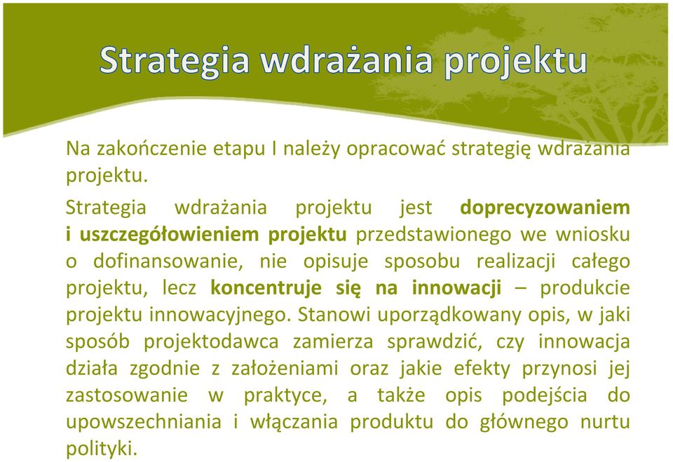 realizacji całego projektu, lecz koncentruje się na innowacji produkcie projektu innowacyjnego.