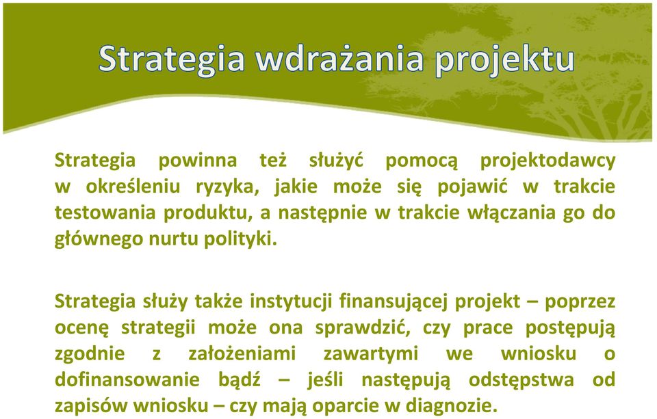 Strategia służy także instytucji finansującej projekt poprzez ocenę strategii może ona sprawdzić, czy prace