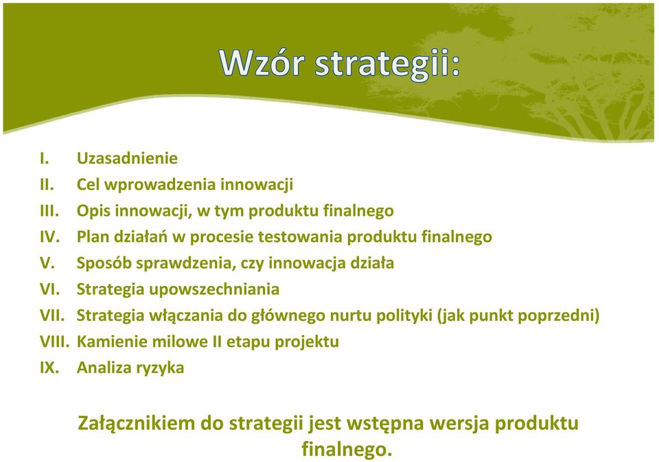 Strategia upowszechniania VII. Strategia włączania do głównego nurtu polityki (jak punkt poprzedni) VIII.