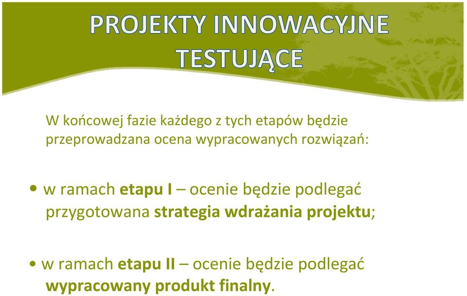 będzie podlegać przygotowana strategia wdrażania projektu; w