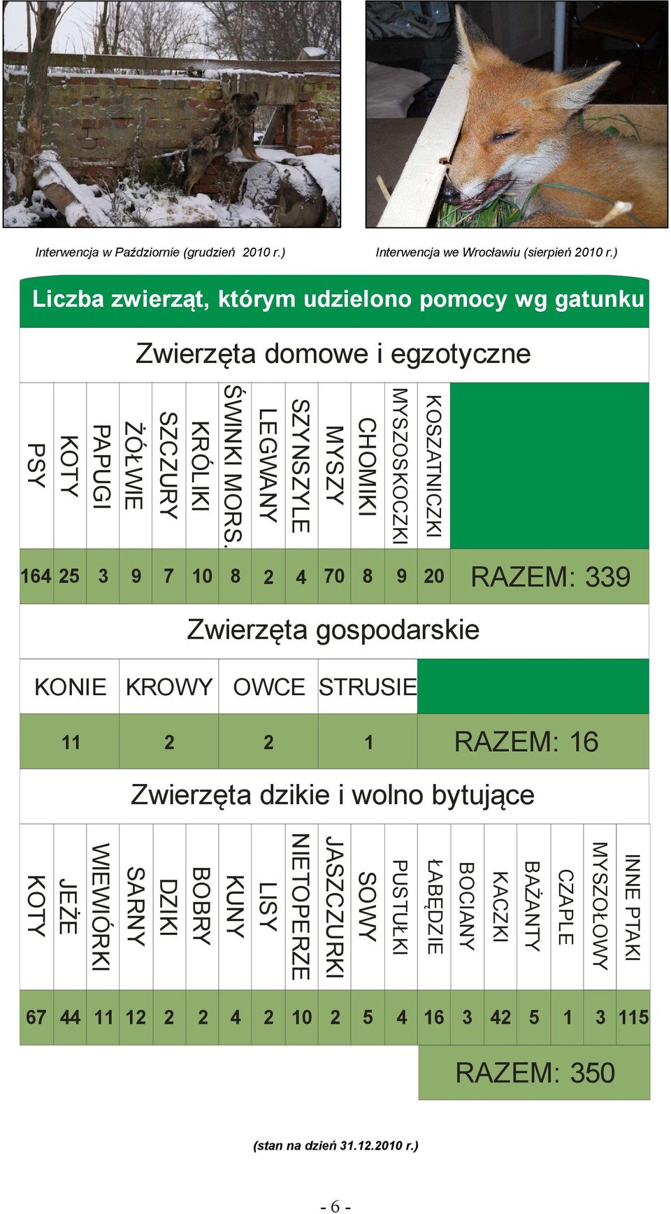 KRÓLIKI SZCZURY SZYNSZYLE LEGWANY CHOMIKI MYSZY 25 3 9 7 10 8 2 4 70 8 9 20 RAZEM: 339 MYSZOSKOCZKI KOSZATNICZKI Zwierzęta gospodarskie KONIE KROWY OWCE STRUSIE 11 2