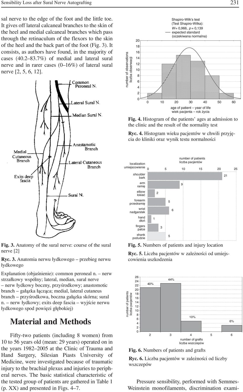 (Fig. ). It consists, as authors have found, in the majority of cases (. 8.%) of medial and lateral sural nerve and in rarer cases ( %) of lateral sural nerve [,,, ].