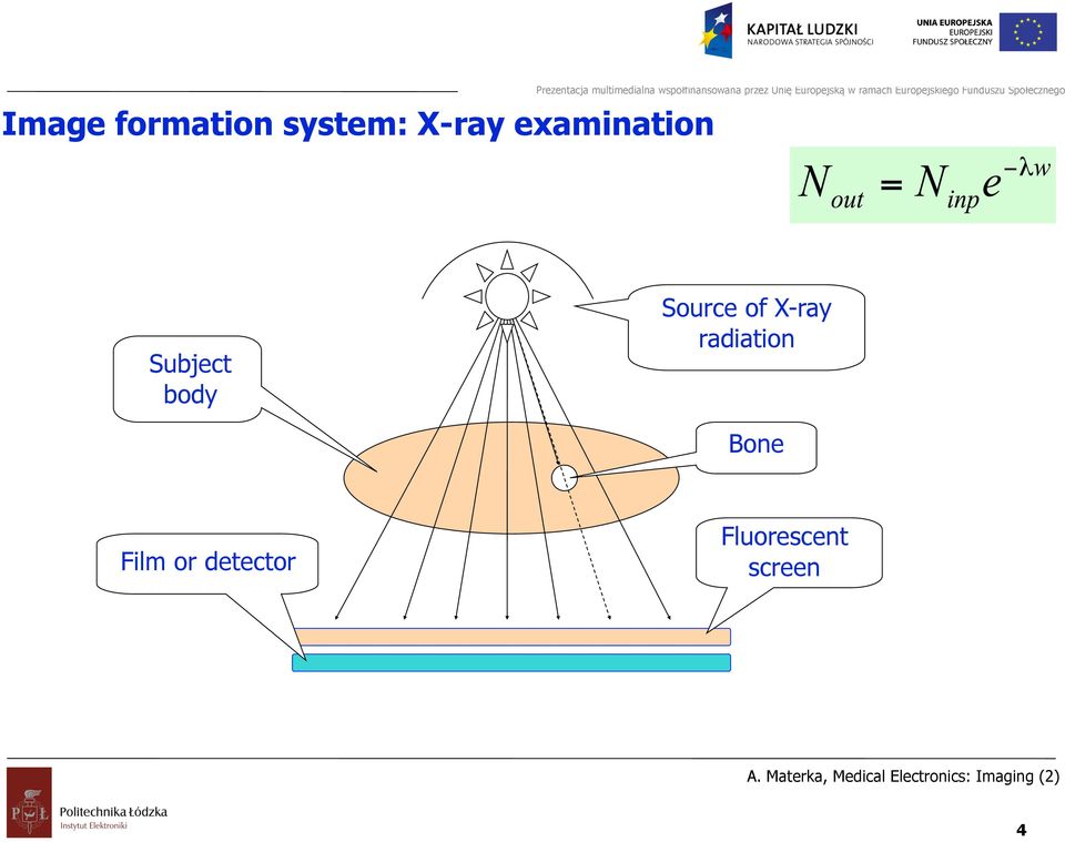 Source of X-ray radiation Bone