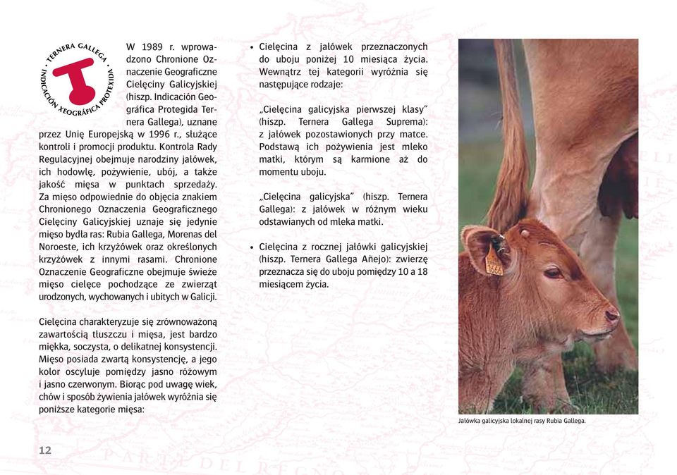 Za mięso odpowiednie do objęcia znakiem Chronionego Oznaczenia Geograficznego Cielęciny Galicyjskiej uznaje się jedynie mięso bydła ras: Rubia Gallega, Morenas del Noroeste, ich krzyżówek oraz