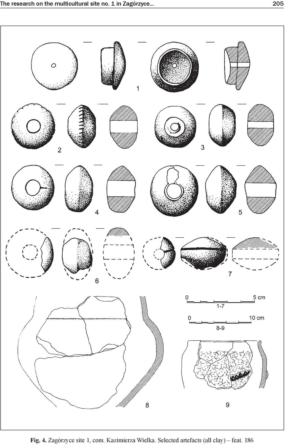 Zagórzyce site 1, com.