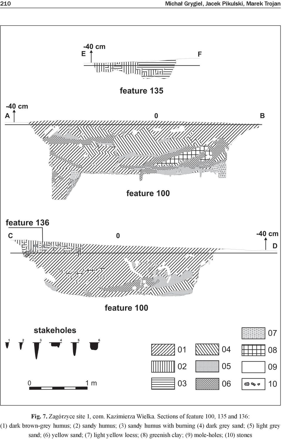 Sections of feature 100, 135 and 136: (1) dark brown-grey humus; (2) sandy humus;