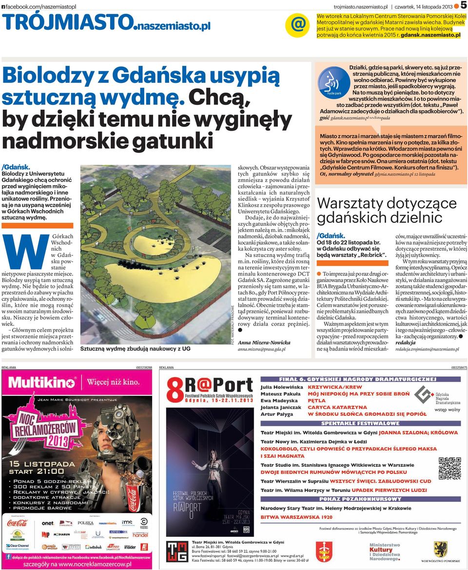chcą, bydziękitemuniewyginęły nadmorskiegatunki /Gdańsk. Biolodzy z Uniwersytetu Gdańskiego chcą ochronić przed wyginięciem mikołajka nadmorskiego i inne unikatowe rośliny.