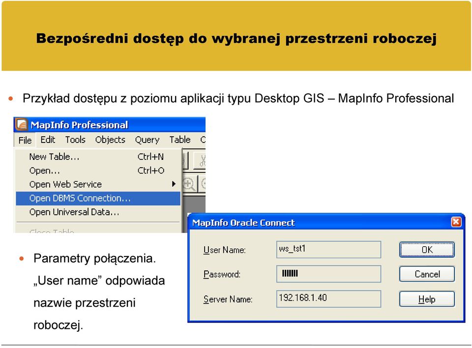 typu Desktop GIS MapInfo Professional Parametry