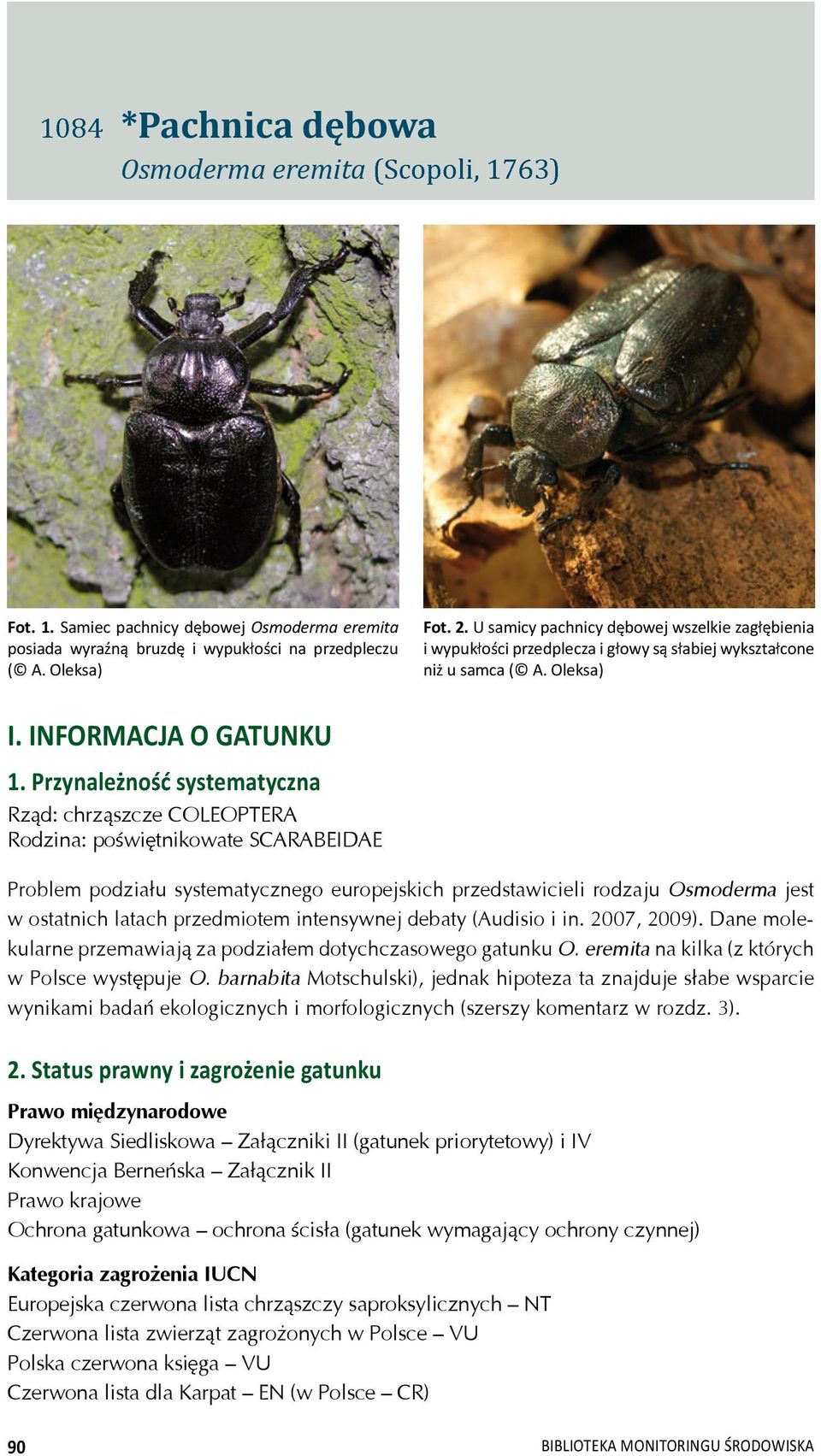 Przynale no systematyczna Rz d: chrz szcze COLEOPTERA Rodzina: po wi tnikowate SCARABEIDAE Problem podzia u systematycznego europejskich przedstawicieli rodzaju Osmoderma jest w ostatnich latach