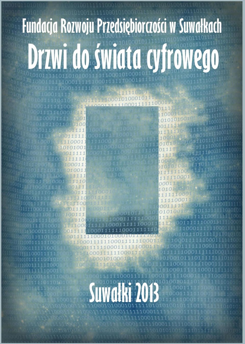 do 15 grudnia 2013 roku w ramach zadania publicznego Upowszechnianie korzystania z Internetu i rozwój