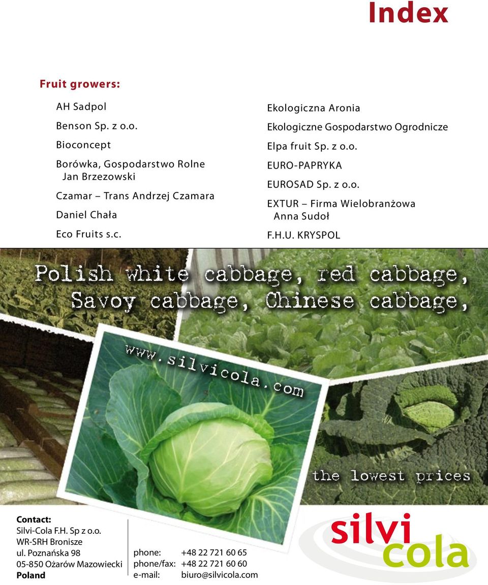 H.U. KRYSPOL Polish white cabbage, red cabbage, Savoy cabbage, Chinese cabbage, www.silvicola.com the lowest prices Silvi-Cola F.H. Sp z o.o. WR-SRH Bronisze ul.