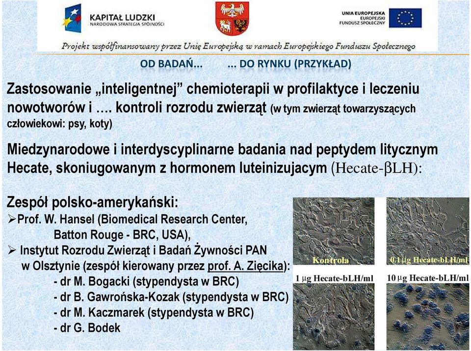 skoniugowanym z hormonem luteinizujacym (Hecate-βLH): Zespół polsko-amerykański: Prof. W.