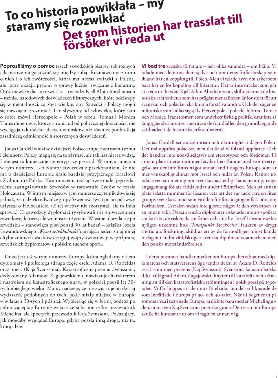 brahamson różnice narodowych doświadczeń historycznych które odcisnęły się w mentalności są zbyt wielkie aby zwedzi i olacy mogli się nawzajem zrozumieć to słyszymy od człowieka który sam o sobie