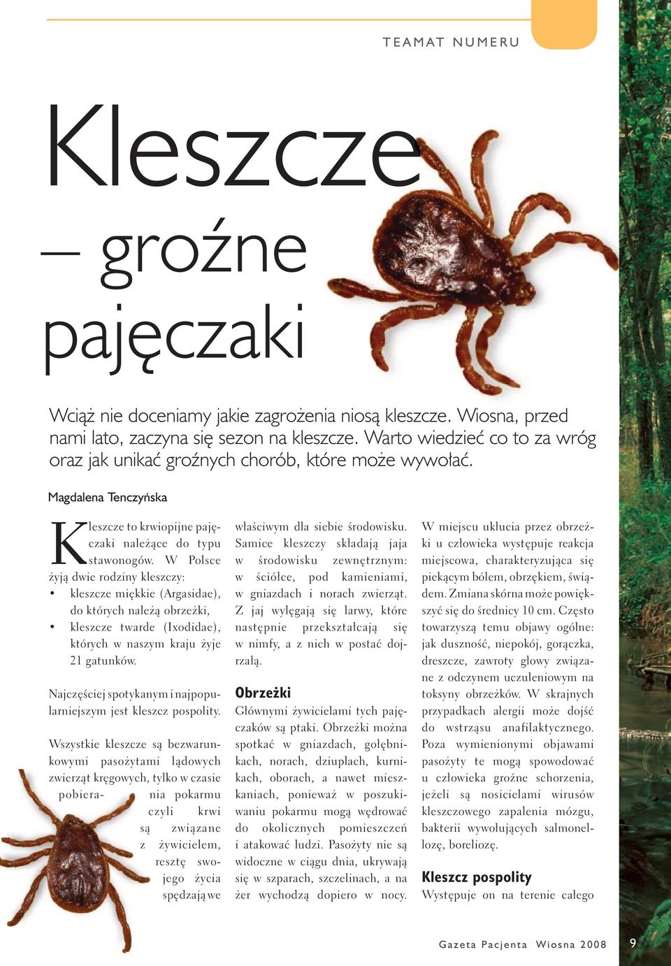 W Polsce żyją dwie rodziny kleszczy: kleszcze miękkie (Argasidae), do których należą obrzeżki, kleszcze twarde (Ixodidae), których w naszym kraju żyje 21 gatunków.