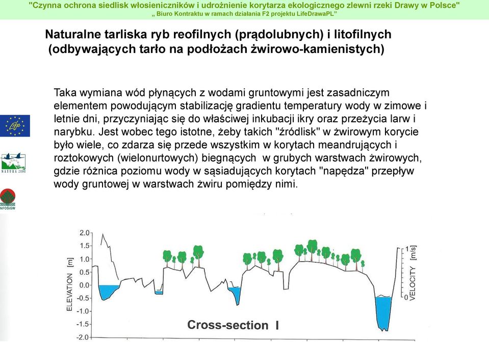 Jest wobec tego istotne, żeby takich "źródlisk" w żwirowym korycie było wiele, co zdarza się przede wszystkim w korytach meandrujących i