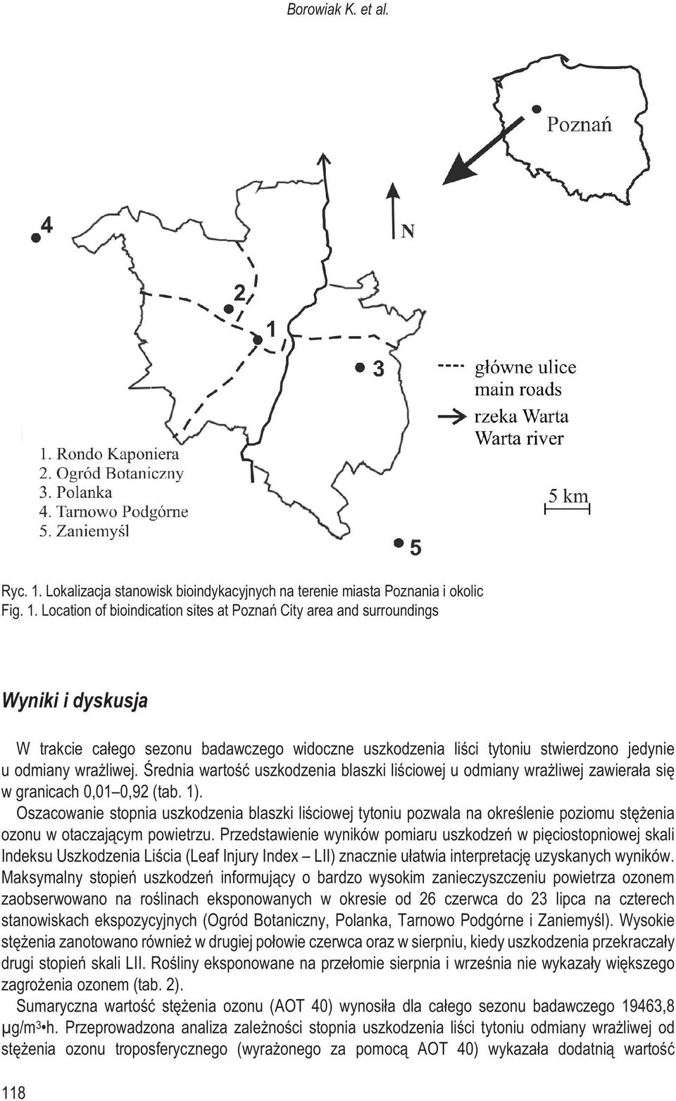 Location of bioindication sites at Poznañ City area and surroundings Wyniki i dyskusja W trakcie ca³ego sezonu badawczego widoczne uszkodzenia liœci tytoniu stwierdzono jedynie u odmiany wra liwej.
