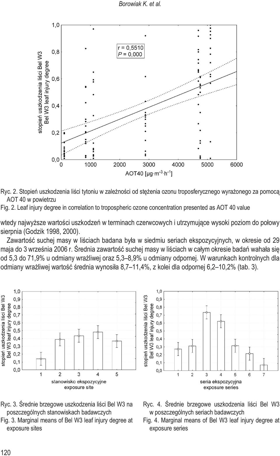 Leaf injury degree in correlation to tropospheric ozone concentration presented as AOT 40 value wtedy najwy sze wartoœci uszkodzeñ w terminach czerwcowych i utrzymuj¹ce wysoki poziom do po³owy