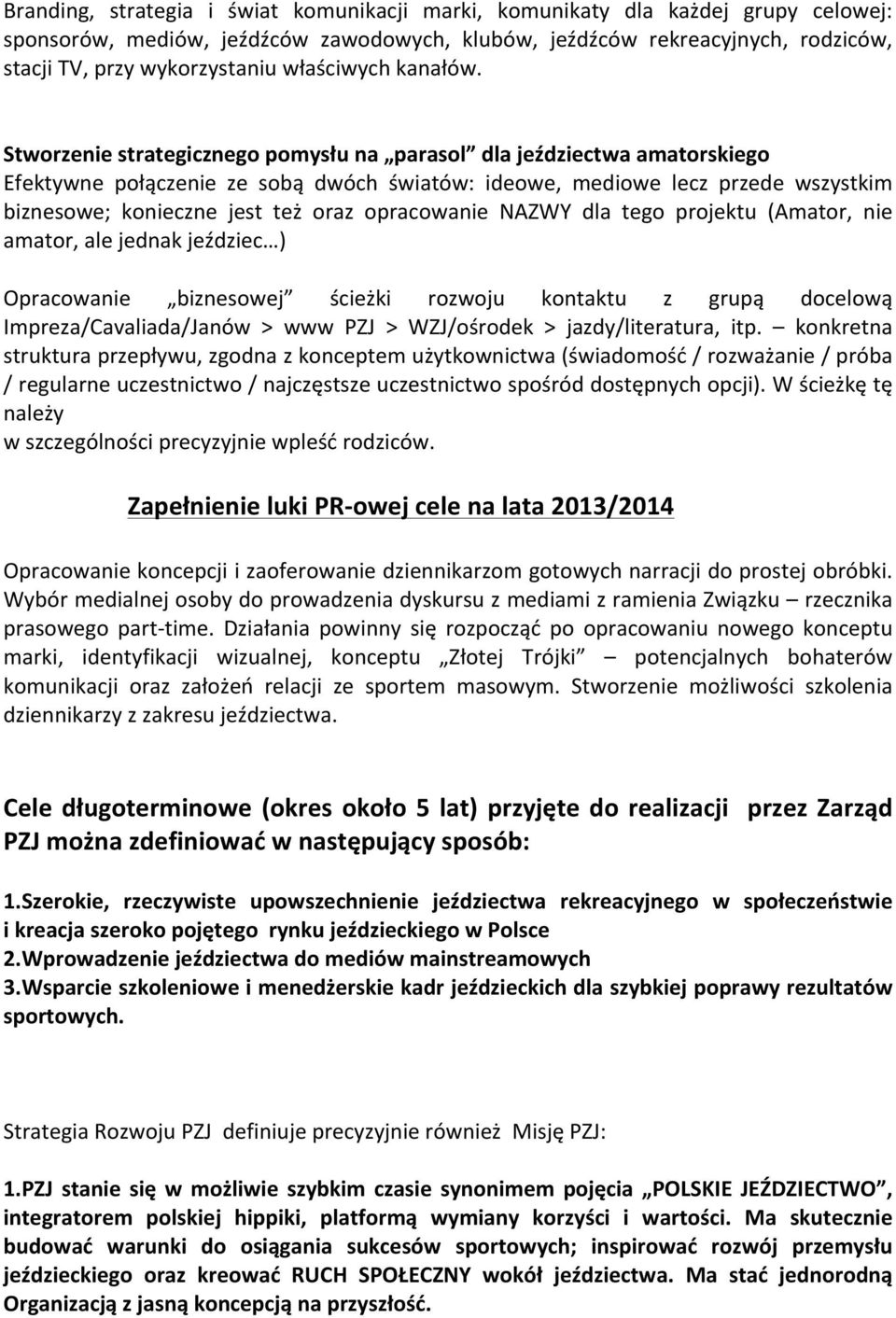 Stworzenie strategicznego pomysłu na parasol dla jeździectwa amatorskiego Efektywne połączenie ze sobą dwóch światów: ideowe, mediowe lecz przede wszystkim biznesowe; konieczne jest też oraz