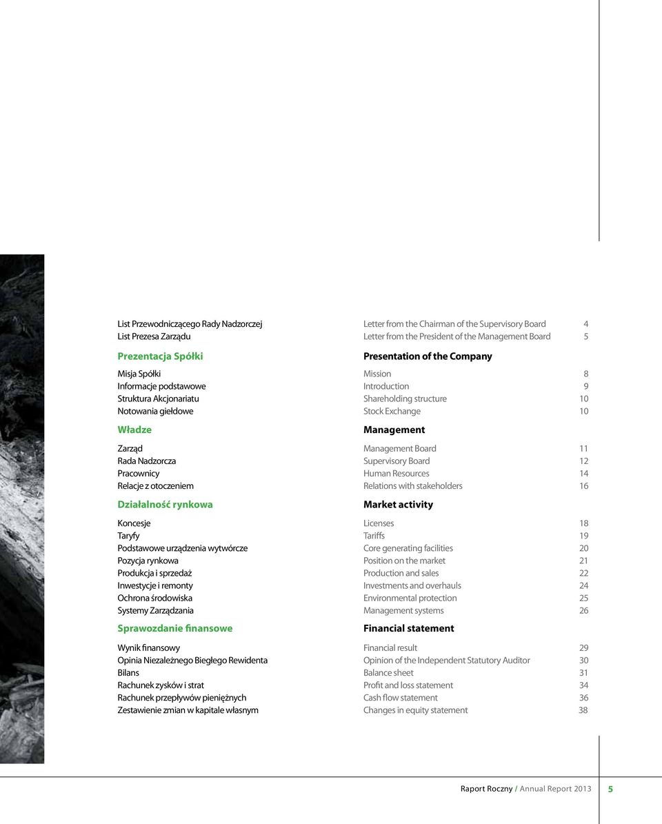 finansowe Wynik finansowy Opinia Niezależnego Biegłego Rewidenta Bilans Rachunek zysków i strat Rachunek przepływów pieniężnych Zestawienie zmian w kapitale własnym Letter from the Chairman of the