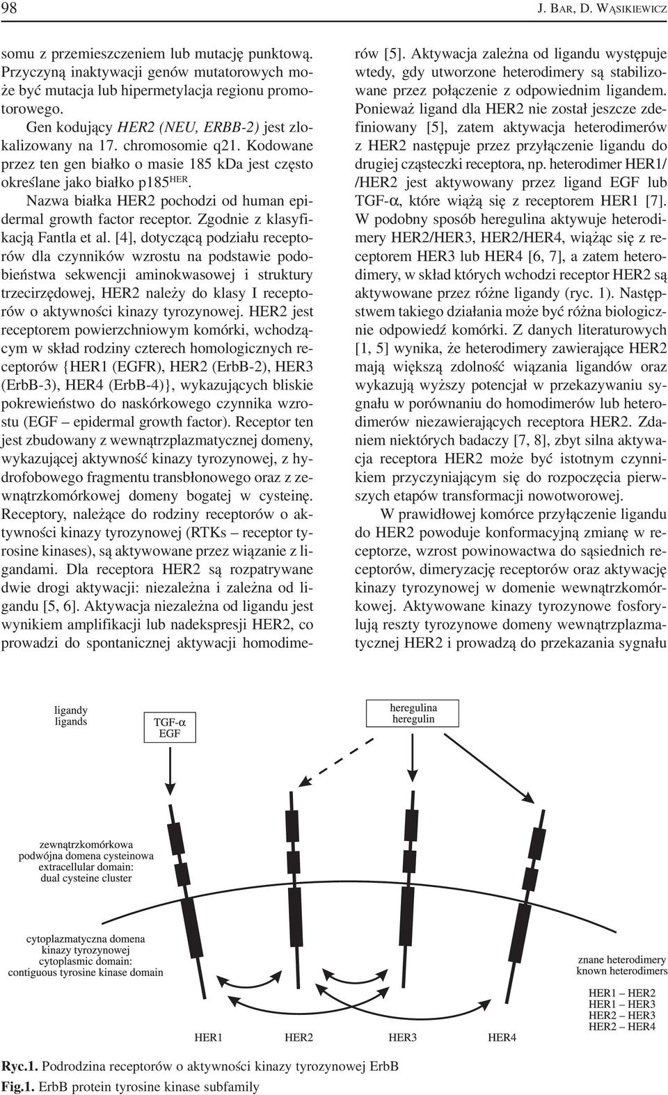 Nazwa białka HER2 pochodzi od human epi dermal growth factor receptor. Zgodnie z klasyfi kacją Fantla et al.