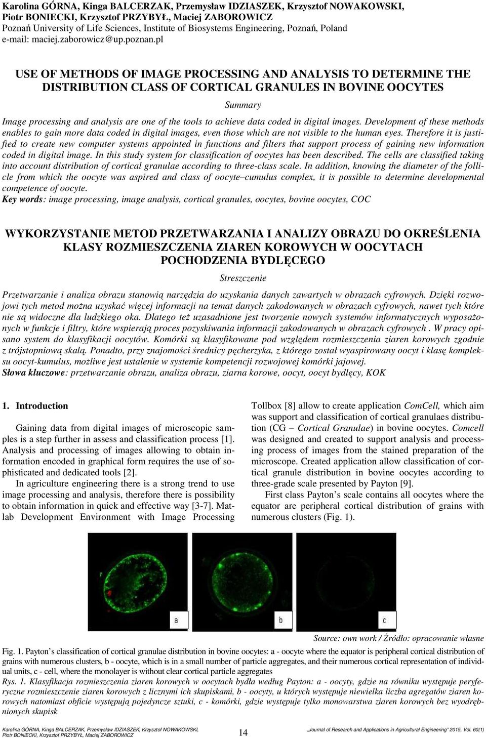 pl USE OF METHODS OF IMAGE PROCESSING AND ANALYSIS TO DETERMINE THE DISTRIBUTION CLASS OF CORTICAL GRANULES IN BOVINE OOCYTES Summary Image processing and analysis are one of the tools to achieve