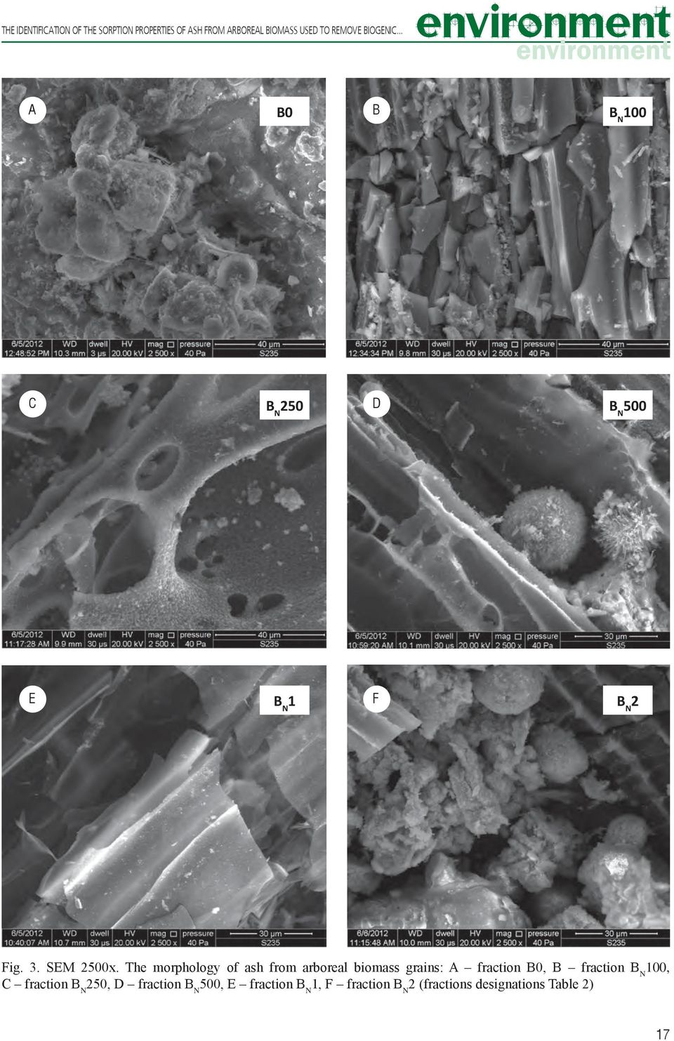 The morphology of ash from arboreal biomass grains: A fraction B0, B fraction B N 100, C