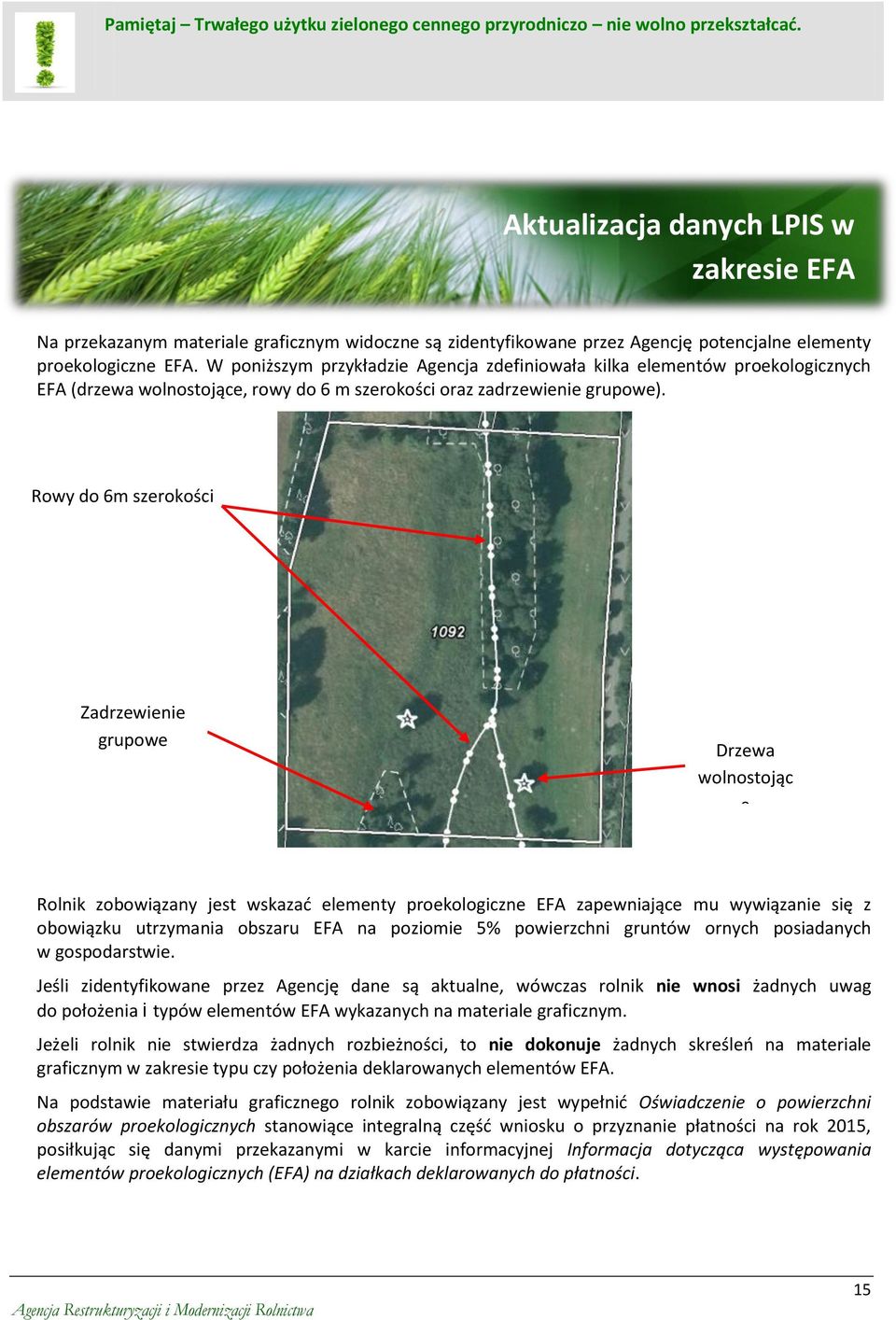 W poniższym przykładzie Agencja zdefiniowała kilka elementów proekologicznych EFA (drzewa wolnostojące, rowy do 6 m szerokości oraz zadrzewienie grupowe).