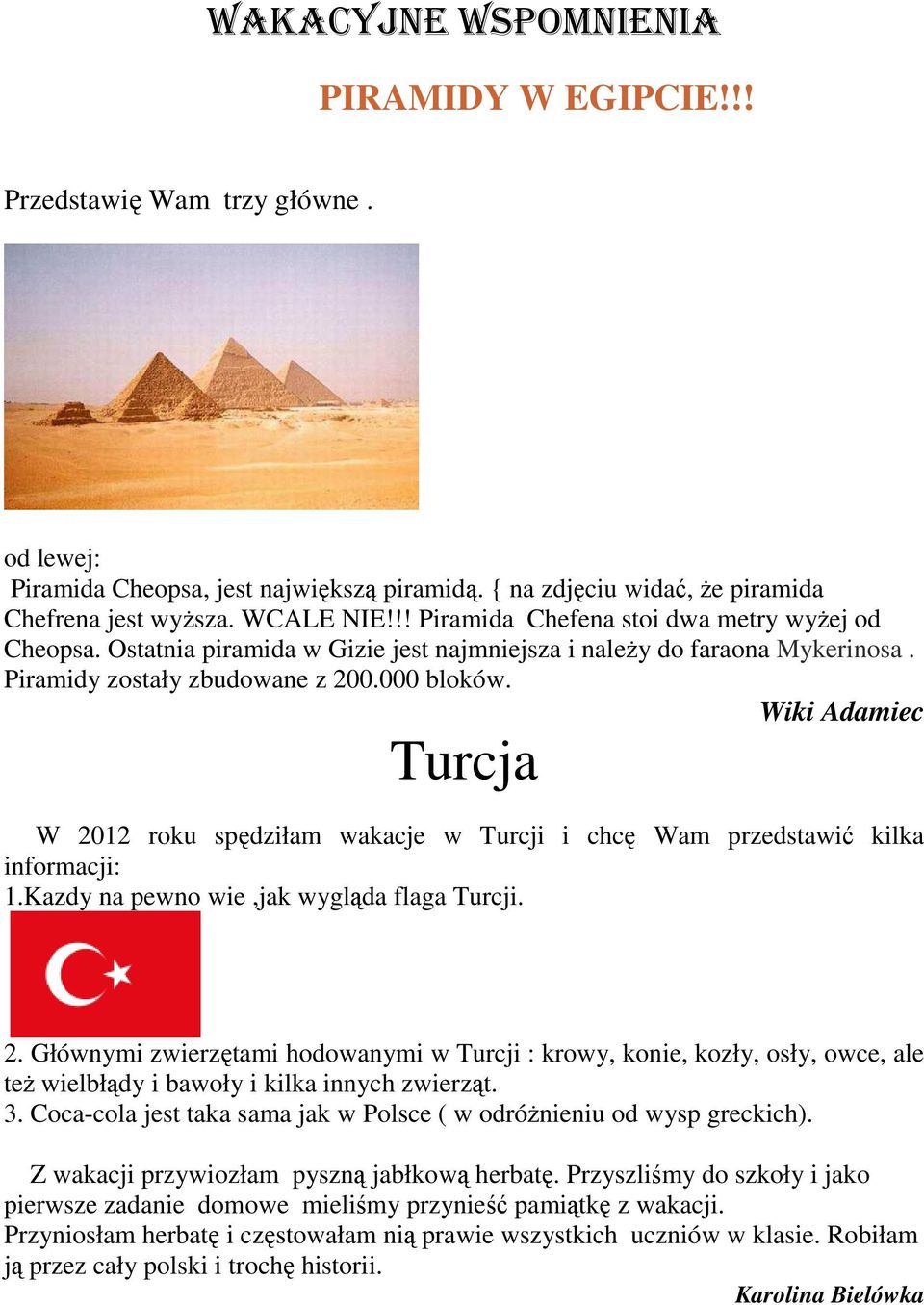 Wiki Adamiec Turcja W 2012 roku spędziłam wakacje w Turcji i chcę Wam przedstawić kilka informacji: 1.Kazdy na pewno wie,jak wygląda flaga Turcji. 2. Głównymi zwierzętami hodowanymi w Turcji : krowy, konie, kozły, osły, owce, ale też wielbłądy i bawoły i kilka innych zwierząt.