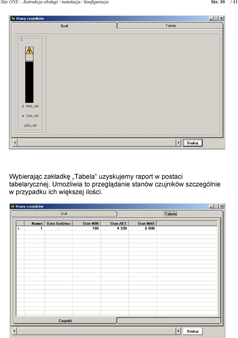 raport w postaci tabelarycznej.