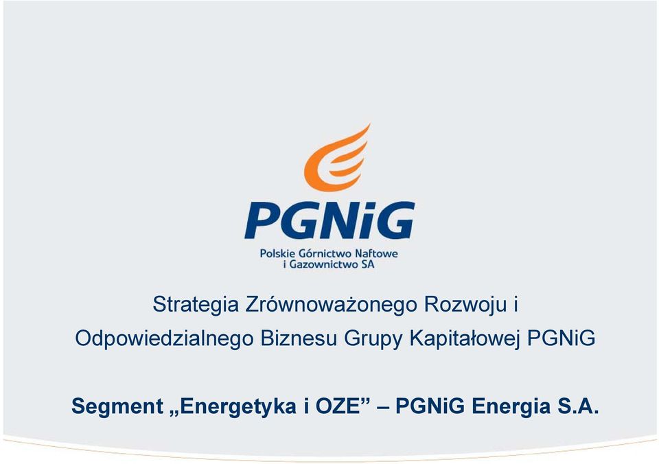 Biznesu Grupy Kapitałowej PGNiG
