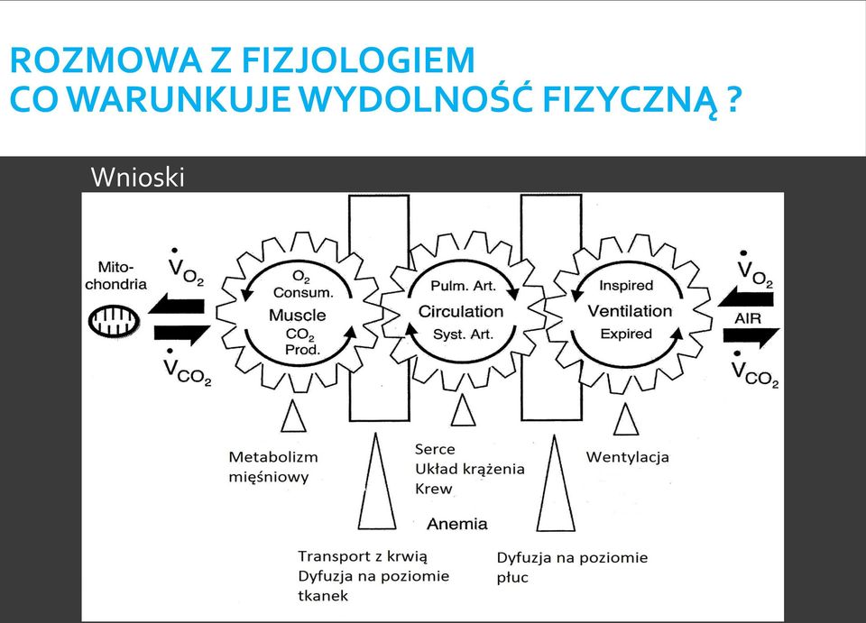 WARUNKUJE