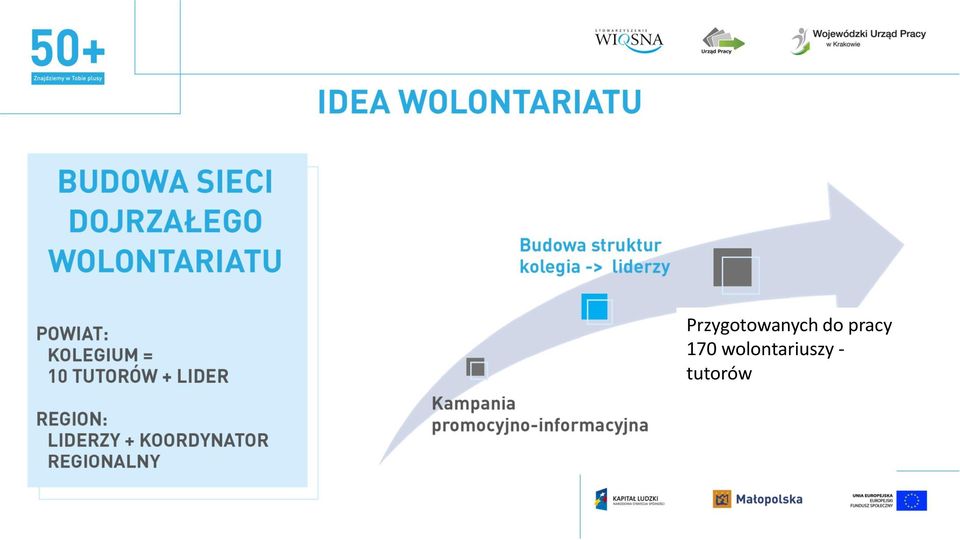 promocyjnoinformacyjna Budowa struktur kolegia -> liderzy Przygotowanych do