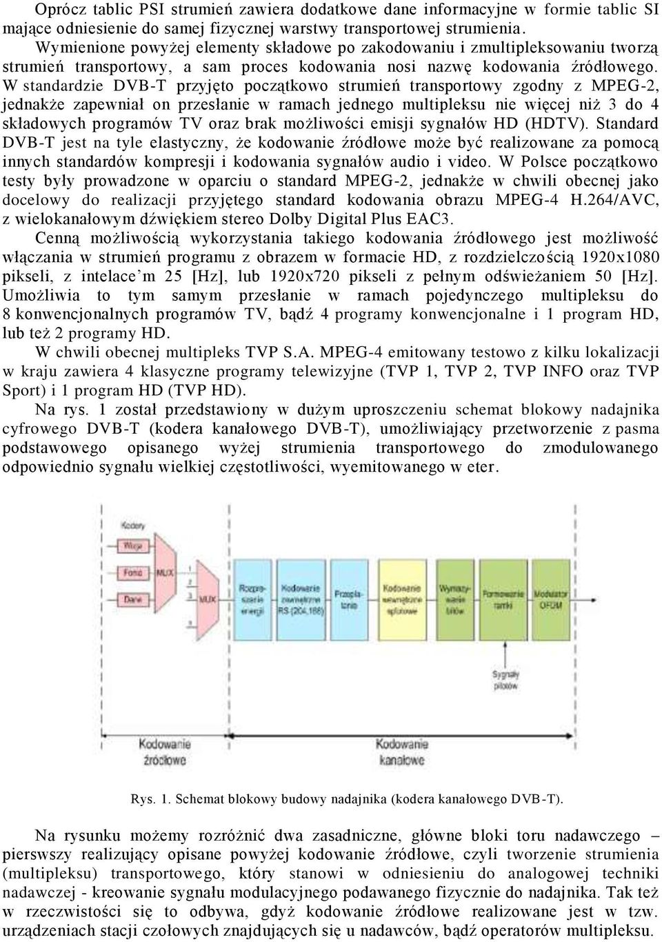 W standardzie DVB-T przyjęto początkowo strumień transportowy zgodny z MPEG-2, jednakże zapewniał on przesłanie w ramach jednego multipleksu nie więcej niż 3 do 4 składowych programów TV oraz brak