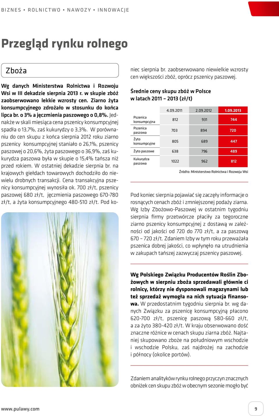 W porównaniu do cen skupu z końca sierpnia 2012 roku ziarno pszenicy konsumpcyjnej staniało o 26,1%, pszenicy paszowej o 20,6%, żyta paszowego o 36,9%, zaś kukurydza paszowa była w skupie o 15,4%