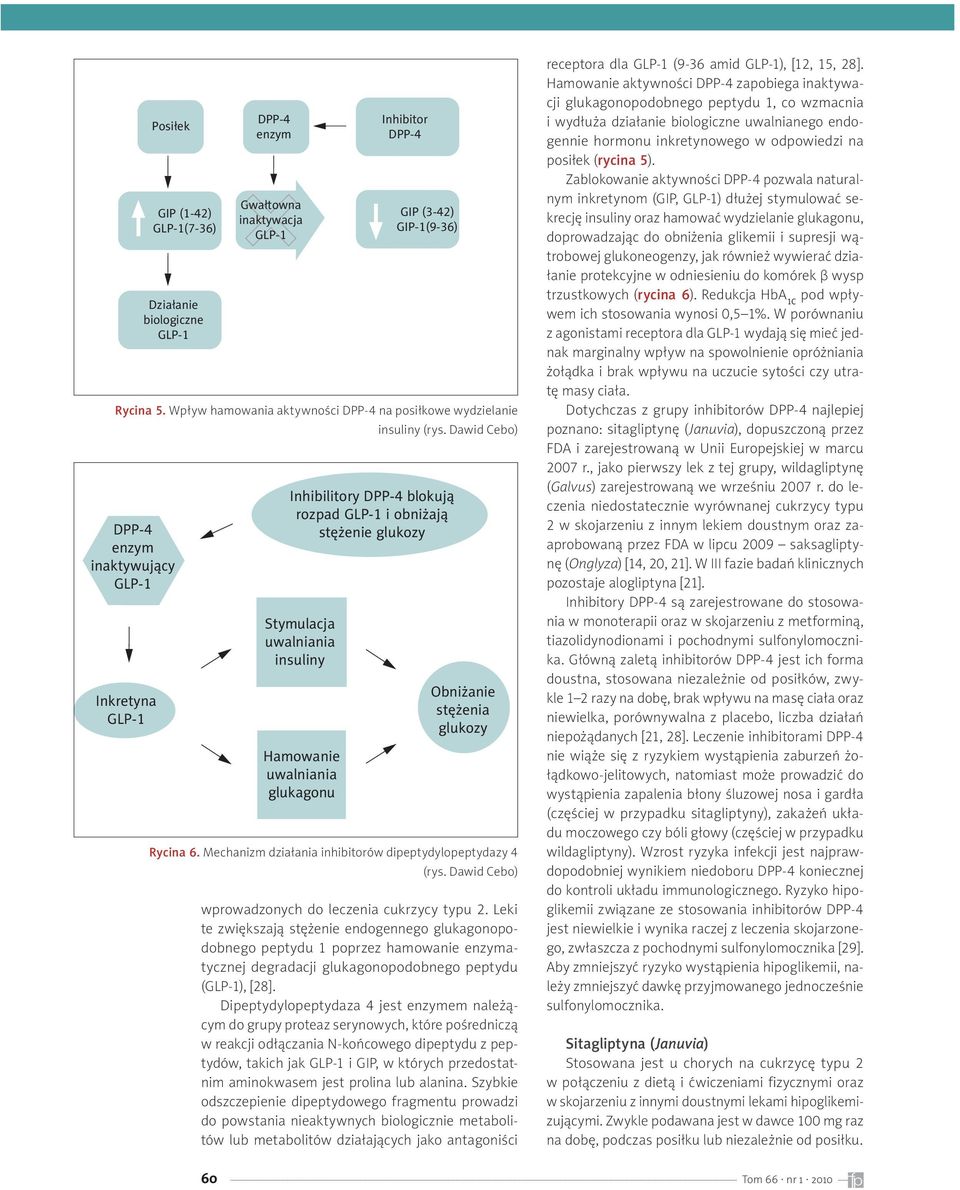 Dawid Cebo) DPP-4 enzym inaktywujący Inkretyna Inhibilitory DPP-4 blokują rozpad i obniżają stężenie glukozy Stymulacja uwalniania insuliny Hamowanie uwalniania glukagonu Obniżanie stężenia glukozy
