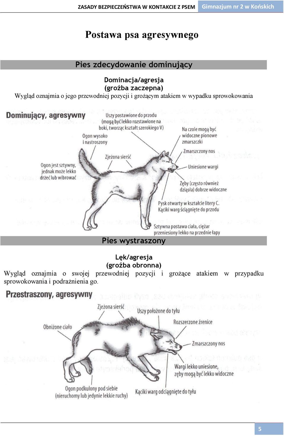 sprowokowania Pies wystraszony Lęk/agresja (groźba obronna) Wygląd oznajmia o