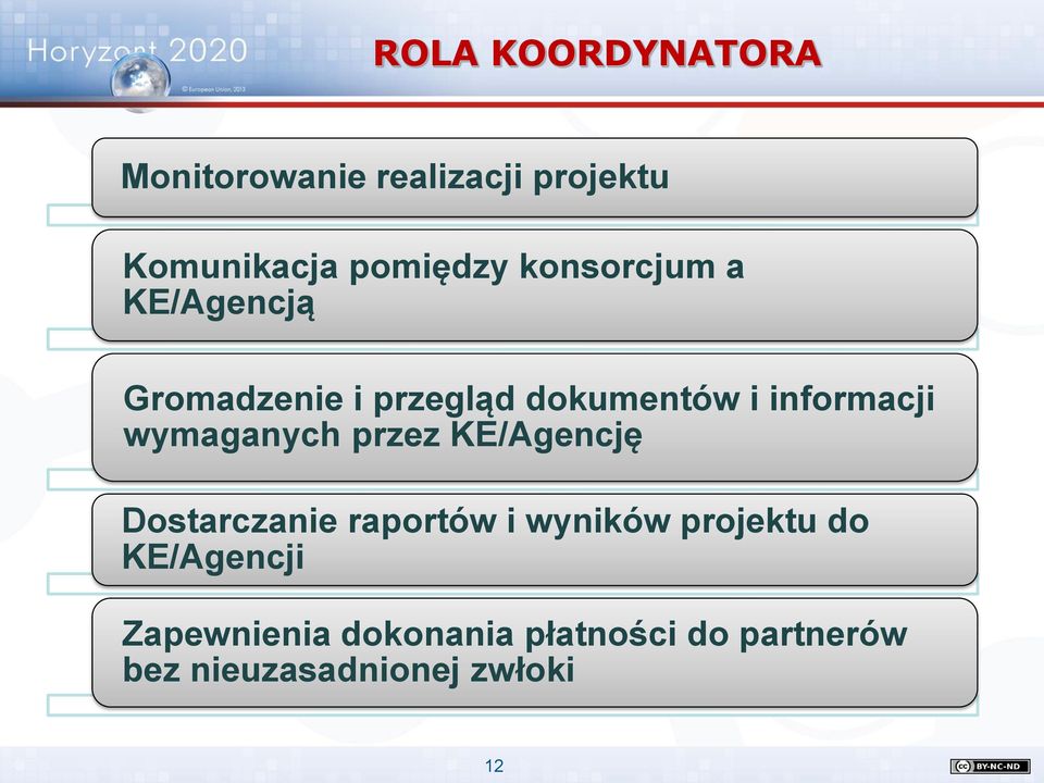 wymaganych przez KE/Agencję Dostarczanie raportów i wyników projektu do