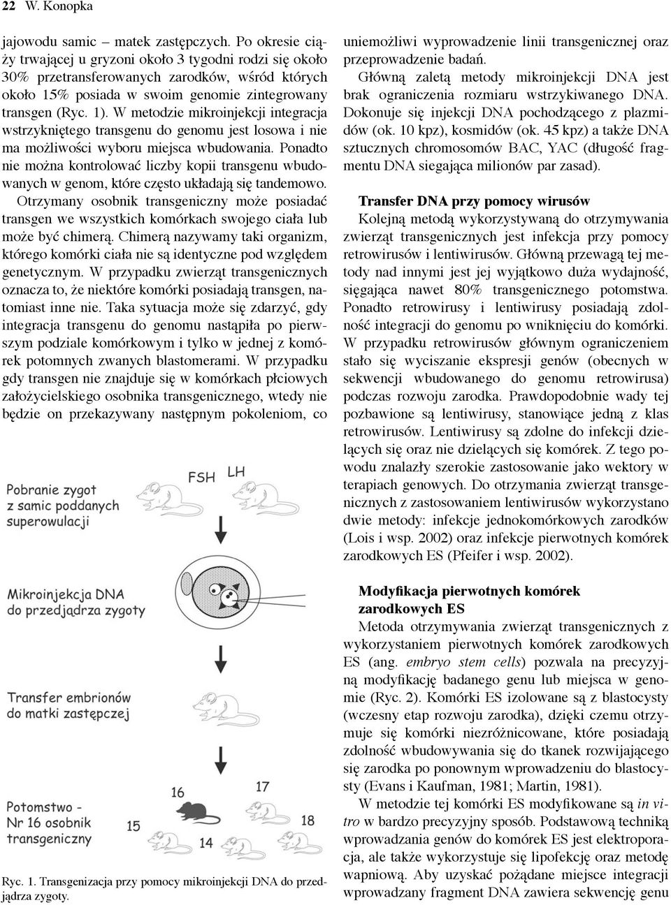 W metodzie mikroinjekcji integracja wstrzykniętego transgenu do genomu jest losowa i nie ma możliwości wyboru miejsca wbudowania.