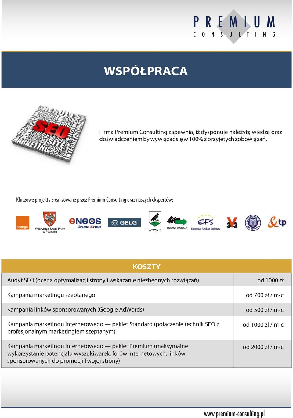 marketingu szeptanego Kampania linków sponsorowanych (Google AdWords) Kampania marketingu internetowego pakiet Standard (połączenie technik SEO z profesjonalnym marketingiem szeptanym)