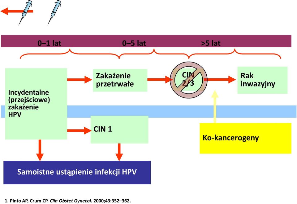 inwazyjny CIN 1 Ko-kancerogeny Samoistne ustąpienie