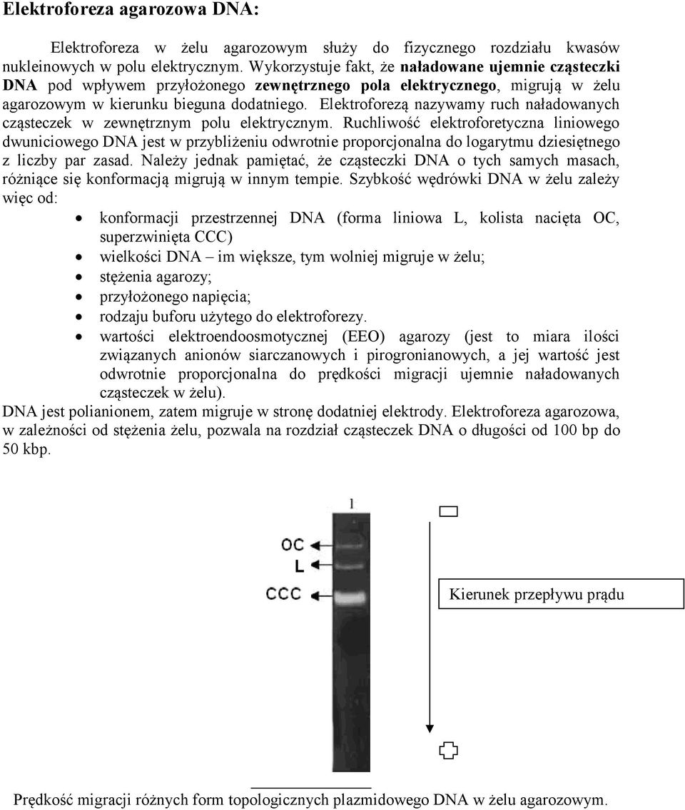 Elektroforezą nazywamy ruch naładowanych cząsteczek w zewnętrznym polu elektrycznym.