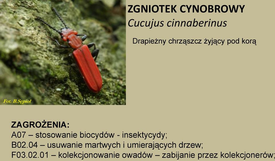 Sępioł A07 stosowanie biocydów - insektycydy; B02.