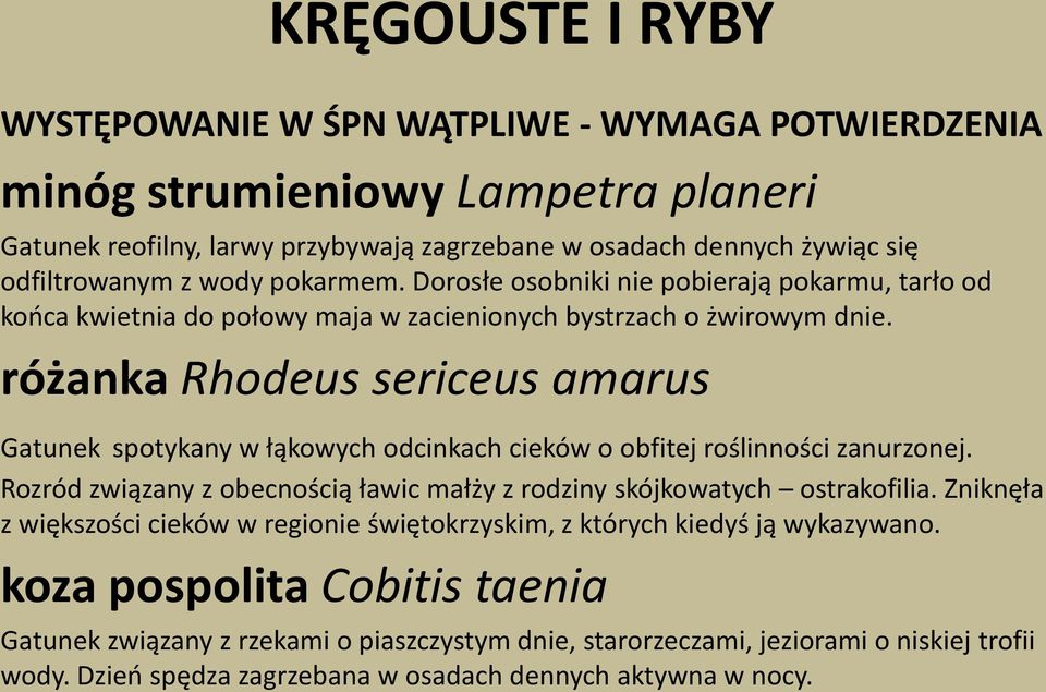 różanka Rhodeus sericeus amarus Gatunek spotykany w łąkowych odcinkach cieków o obfitej roślinności zanurzonej. Rozród związany z obecnością ławic małży z rodziny skójkowatych ostrakofilia.