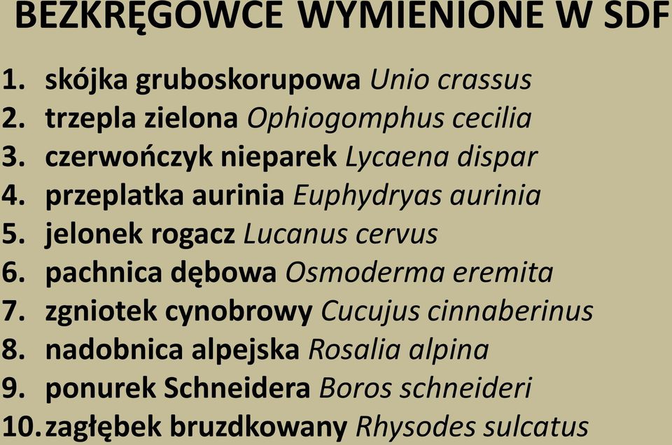 przeplatka aurinia Euphydryas aurinia 5. jelonek rogacz Lucanus cervus 6.