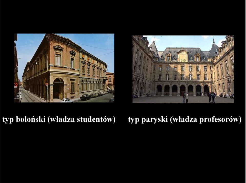 studentów) typ