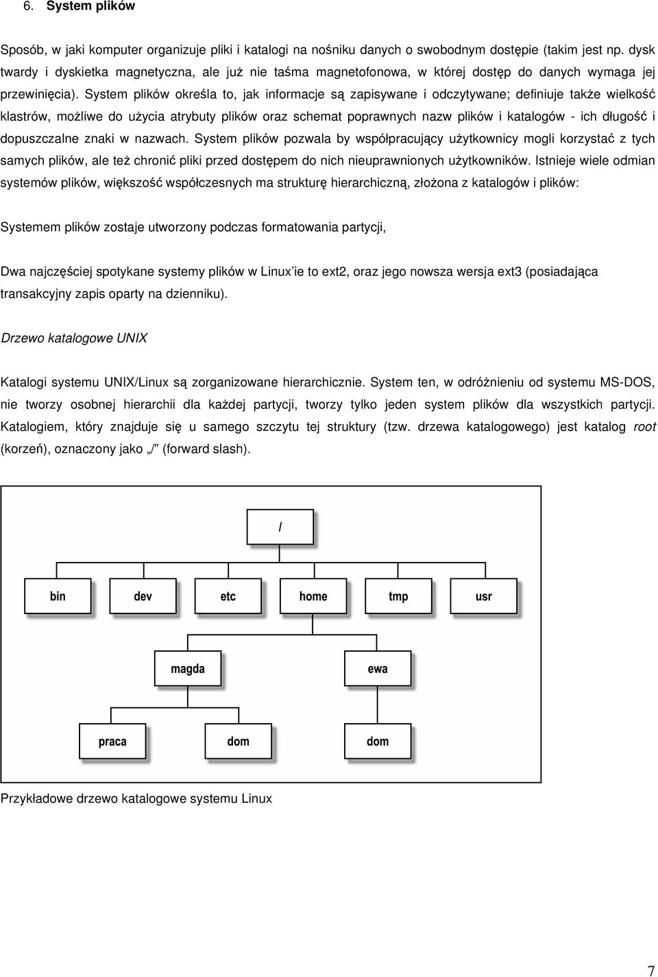 System plików określa to, jak informacje są zapisywane i odczytywane; definiuje także wielkość klastrów, możliwe do użycia atrybuty plików oraz schemat poprawnych nazw plików i katalogów - ich