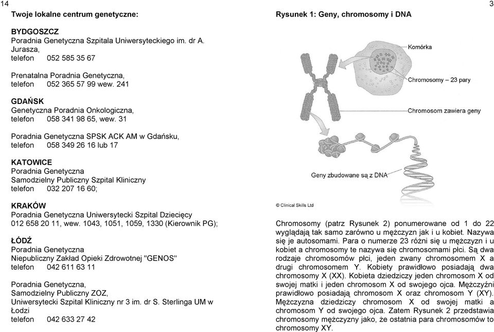 31 Poradnia Genetyczna SPSK ACK AM w Gdańsku, telefon 058 349 26 16 lub 17 KATOWICE Poradnia Genetyczna Samodzielny Publiczny Szpital Kliniczny telefon 032 207 16 60; Rysunek 1: Geny, chromosomy i
